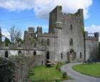 Замок Лип, Ирландия